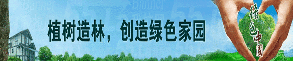 ֲ九(ji)Banner