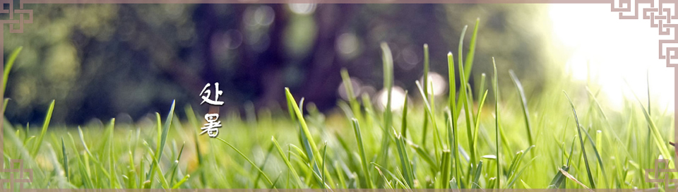 ̎Banner