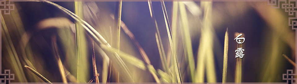 ¶Banner