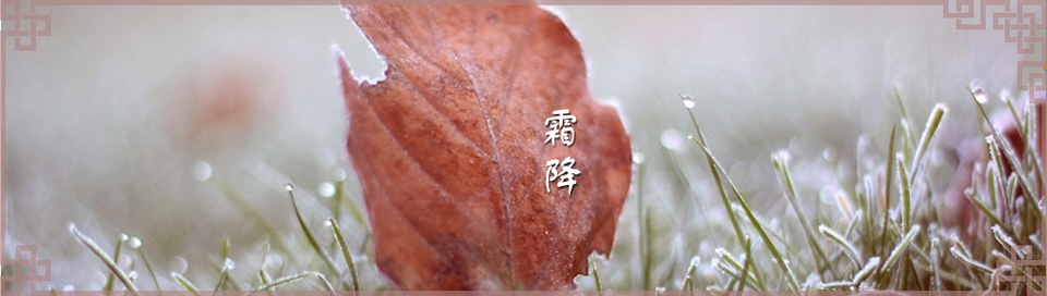 ˪Banner