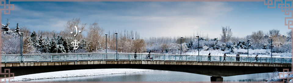 СѩBanner