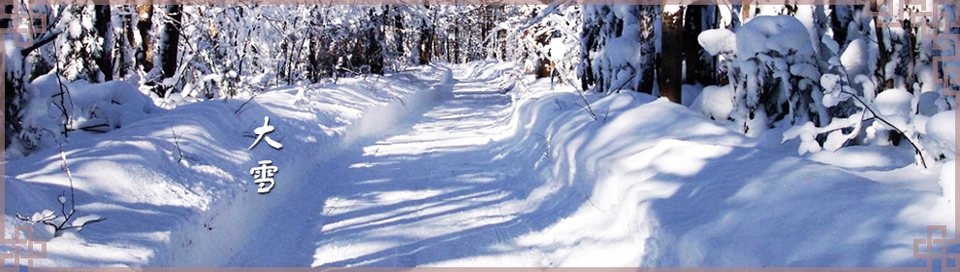 ѩBanner