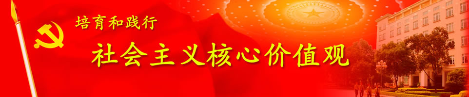 tɫDƬBanner