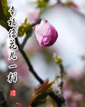 Ҹ񻨃һ