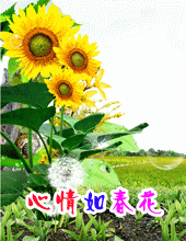 紺