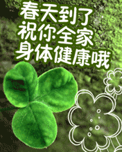 쵽ˣףȫw