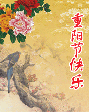 ꖹ옷