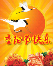 ž˼l飬ѹ