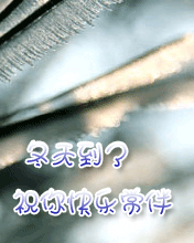 쵽˿옷