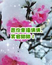 ҸMM