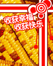 ի@Ҹի@옷