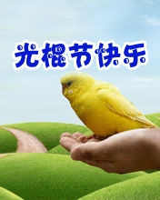 光棍節(jié)快樂