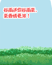 谷雨送你谷雨茶