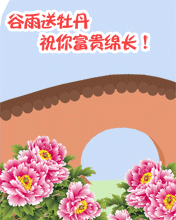 谷雨送牡丹祝你寶貴綿長