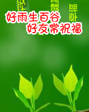 好雨生百谷，好友常祝福