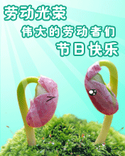 ڄӹs(ji)տ옷