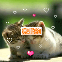 親愛的希望五一跟你一塊過！