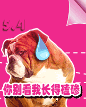 Ŀ옷