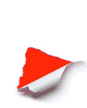 ՈϵףҰ