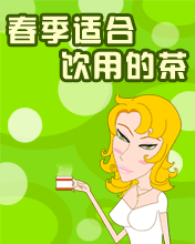 春季適合飲用的綠茶