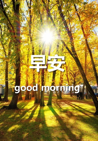 ΢good morning