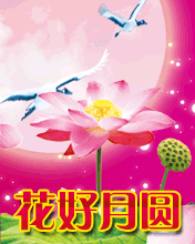 Ag