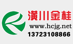 河南精品桂花出售